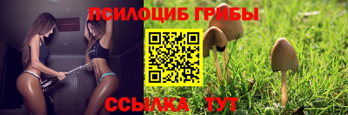 Псилоцибиновые грибы Psilocybe  Галлюциногенные грибы ЛСД  Вход с VPN  Ханты-Мансийск 